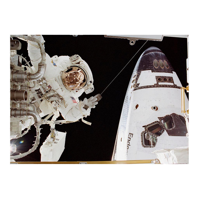 Spacewalk On Space Shuttle Endeavour During STS-131 Jigsaw Puzzle