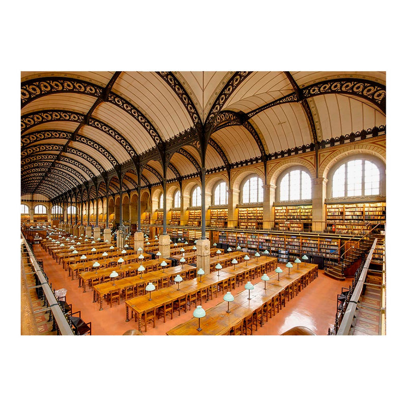 Sainte-Genevieve Library, Paris, France Jigsaw Puzzle