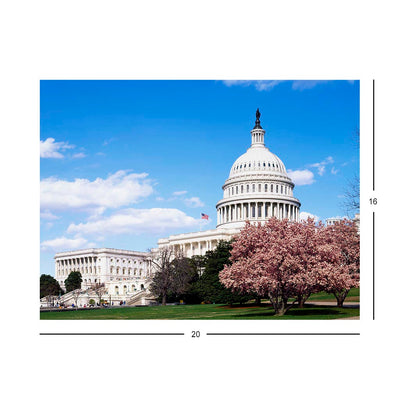 Spring in Washington DC Jigsaw Puzzle