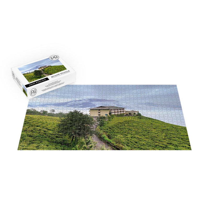 Tea Garden In Sikkim, India Jigsaw Puzzle