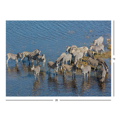 Aerial View of Burchell's Zebras, Okavango Delta, Botswana Jigsaw Puzzle